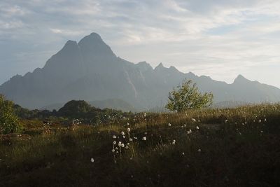 Kliknite za ogled večje slike