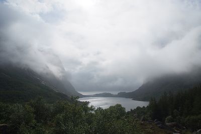 Cliquez pour voir l'image en taille réelle
