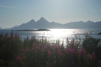 Klikk for å vise bildet i full størrelse