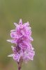 dscf3507.jpg