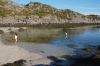dscf3624.jpg