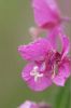 dscf4434.jpg