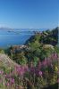 dscf4683.jpg