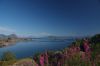 dscf4687.jpg