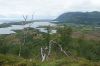 dsc25392.jpg