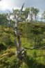 dsc25443.jpg
