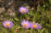 dsc_3613.jpg