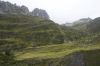 DSC_2208-01.jpg