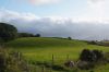 dsc13934.jpg