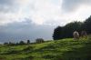 dsc13941.jpg