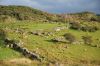 dsc13944.jpg