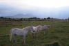 dsc13962.jpg