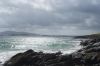 dsc14022.jpg