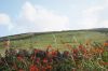 dsc14077.jpg