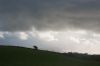 dsc14134.jpg
