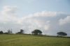 dsc14145.jpg