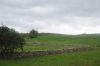 dsc14239.jpg