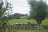 dsc14248.jpg