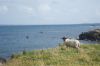 dsc14647.jpg