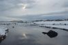 dsc43509.jpg