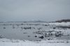 dsc43517.jpg