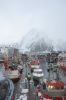 dsc43534.jpg