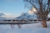 dsc43548.jpg