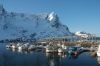 dsc44074.jpg