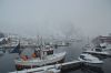 dsc44279.jpg