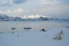 dsc44374.jpg