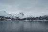 dsc44528.jpg