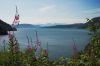 DSC_7122-01.jpg