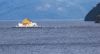 DSC_7390-01.jpg