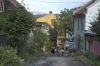 DSC_1452-01.jpg