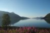 dsc34319.jpg