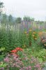dsc34762.jpg