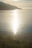 dsc35265.jpg