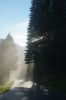 dsc41438.jpg