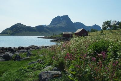 Klikk for å vise bildet i full størrelse