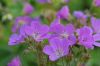 Filename=dse11538.jpg
Filesize=159KB
Dimensions=1200x803
Date added=Aug 26, 2018 dse11538.jpg